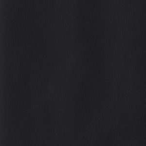 Black Album