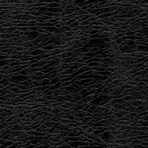Black Album