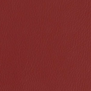 Burgundy Album