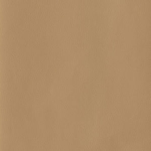 Clay Album