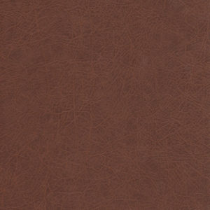 Cocoa Bean Album