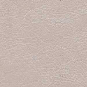 Cream Album
