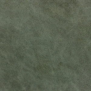 Forest Green Album