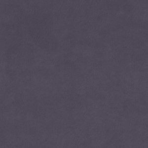 Lavender Album