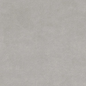 Light Grey Album