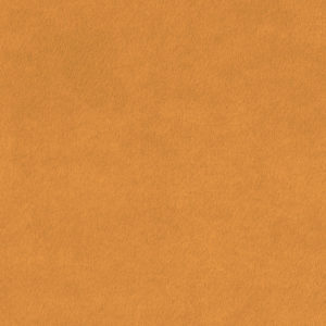 Mustard Album