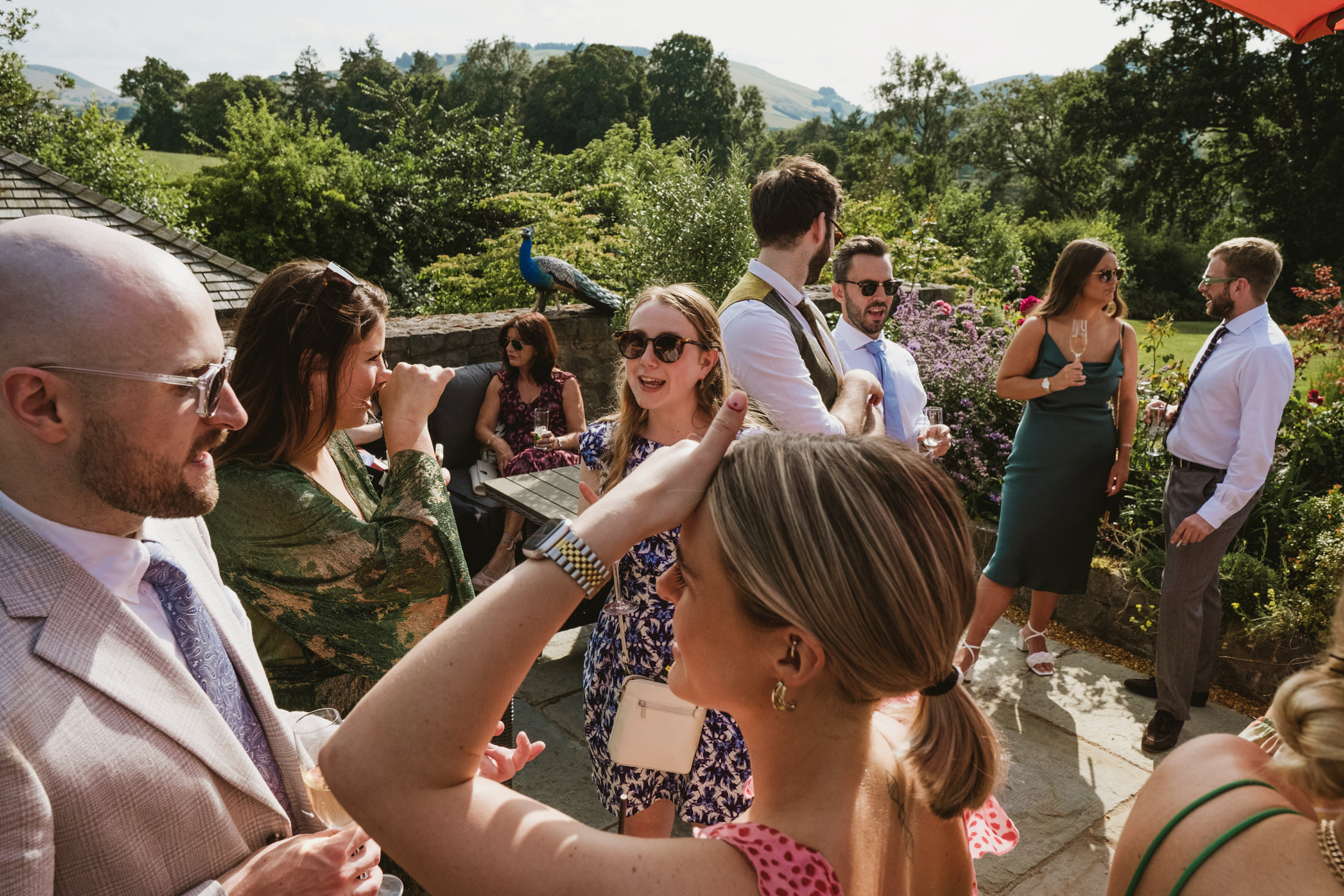 People socialising at outdoor garden party with peacock nearby.