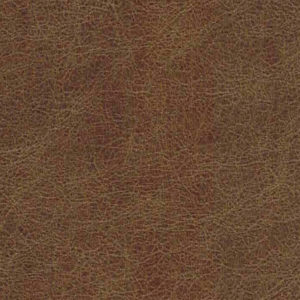 Walnut Album